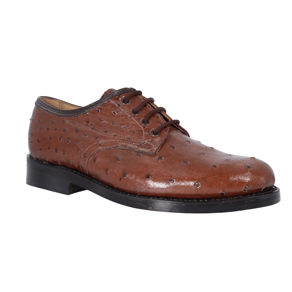Saxone - Chocolate Ostrich Lace-Up (Genuine Leather Upper and Sole)