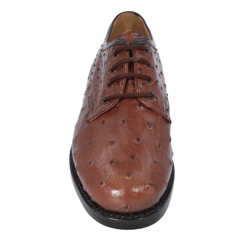 Saxone - Chocolate Ostrich Lace-Up (Genuine Leather Upper and Sole)