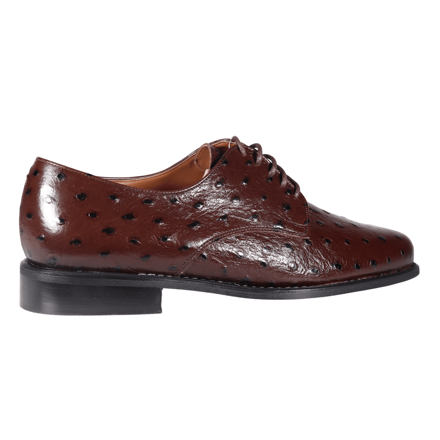 John Drake Brown Lace-Up Derby