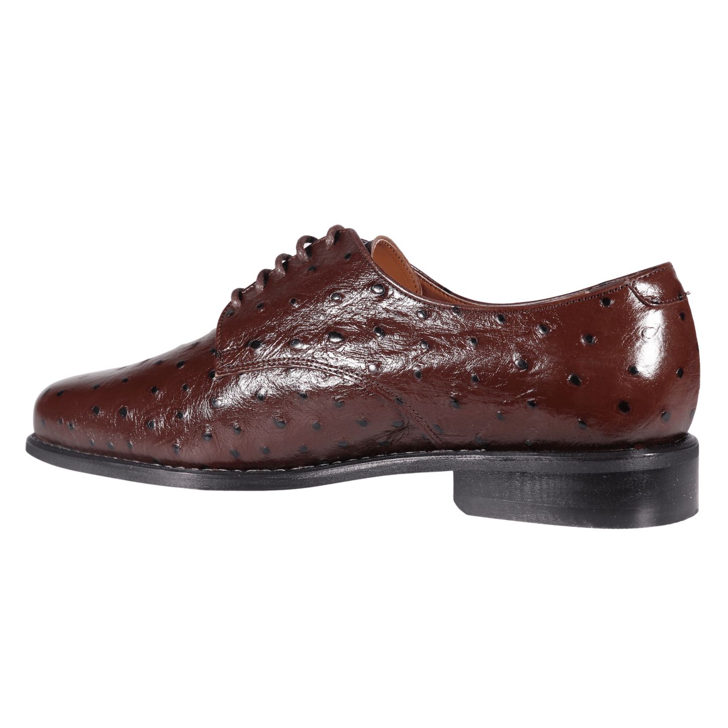 John Drake Brown Lace-Up Derby