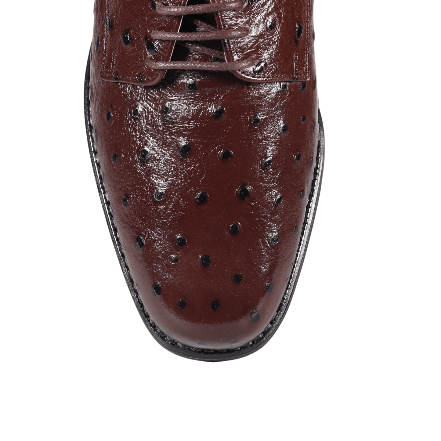 John Drake Brown Lace-Up Derby