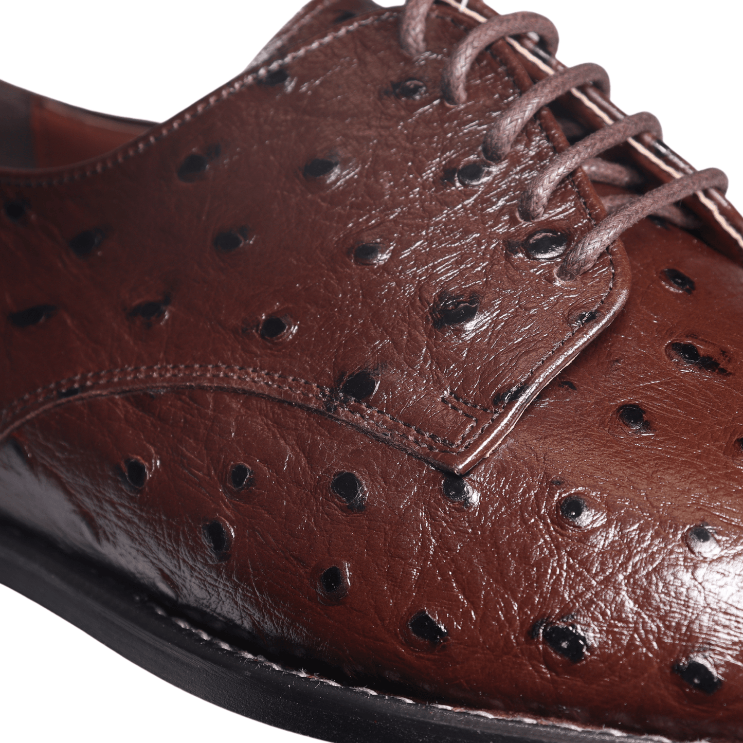 John Drake Brown Lace-Up Derby
