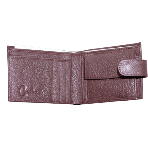 Carducci Wallet in Brown