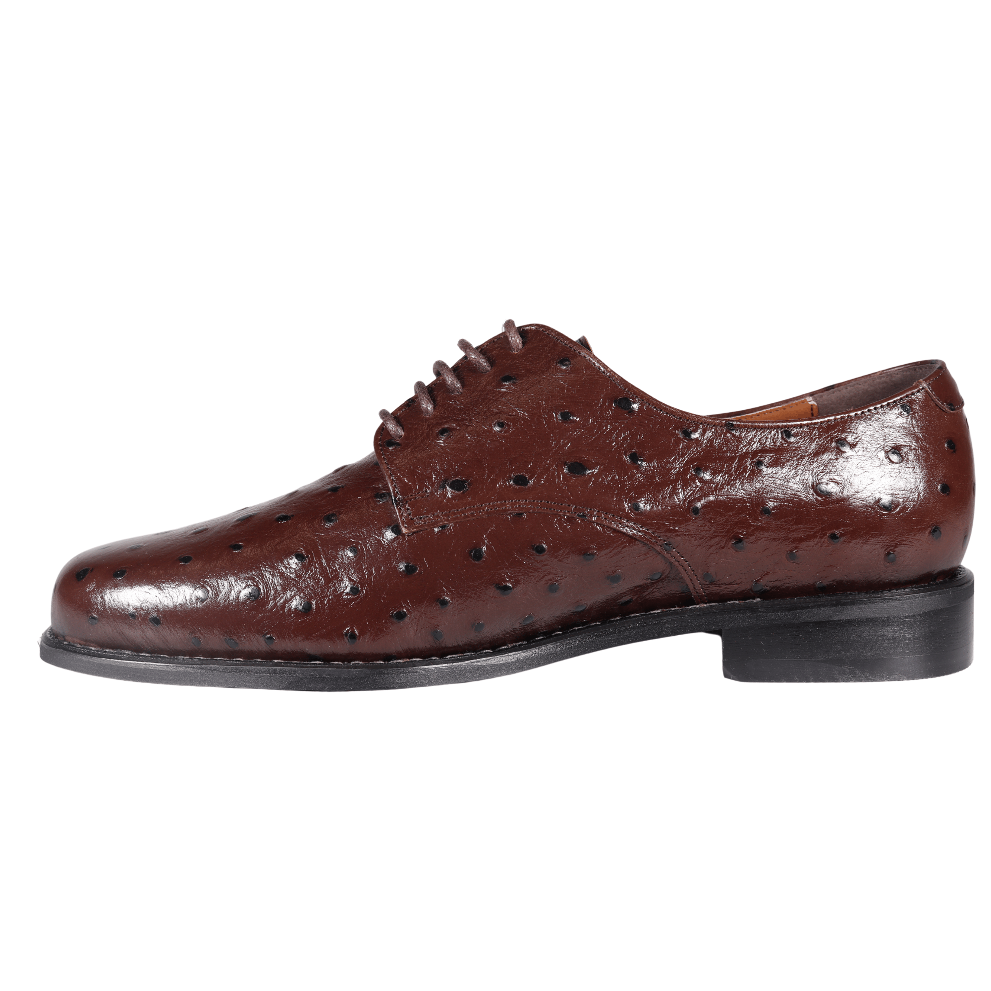 John Drake Brown Lace-Up Derby