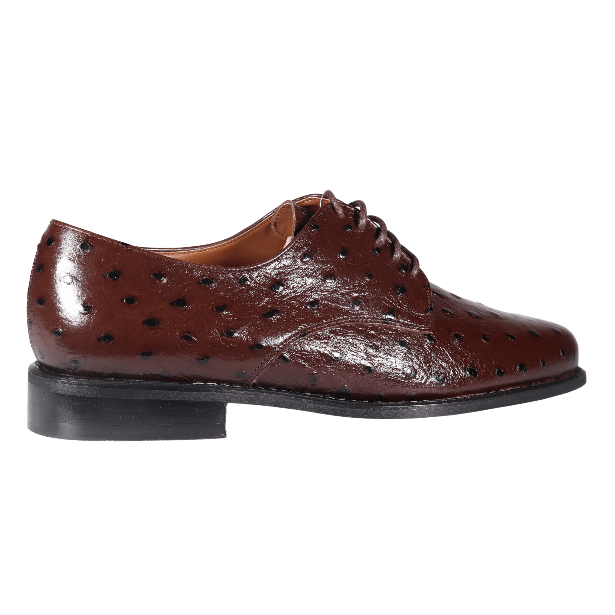 John Drake Brown Lace-Up Derby